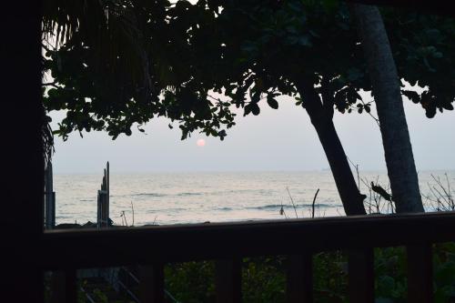 a view of the ocean from a bench at Sea Hut Homestay in Cochin