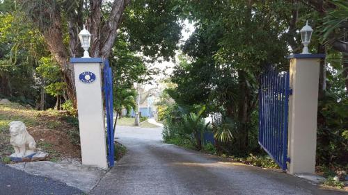 a gate with a dog sitting in the middle of a road at Villa Indigo Sunny 1BR Apartment in Private Gated Estate in Charlotte Amalie