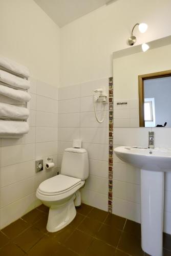 a bathroom with a toilet and a sink at Draugų namai in Druskininkai