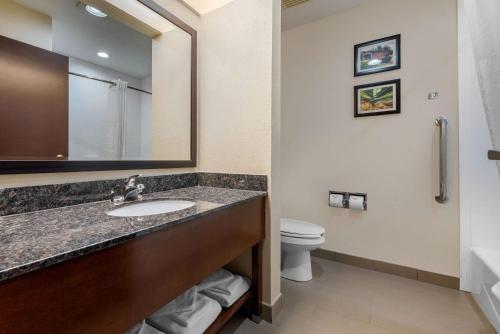 a bathroom with a sink and a toilet at Comfort Suites Lafayette University Area in Lafayette