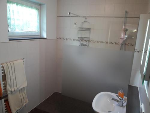 Kylpyhuone majoituspaikassa Ferienwohnung Am Rauenstein