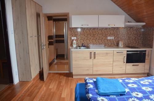 a kitchen with a sink and a counter top at penzion U Koníčka in Strážiště