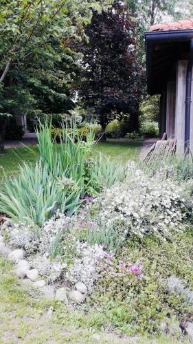 a garden with white flowers in a yard at B&B Mo Va Là in Budrio