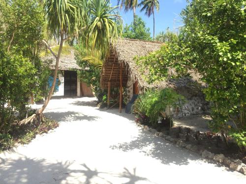 a house with a thatched roof and a road at Mount Zion Lodge in Michamvi
