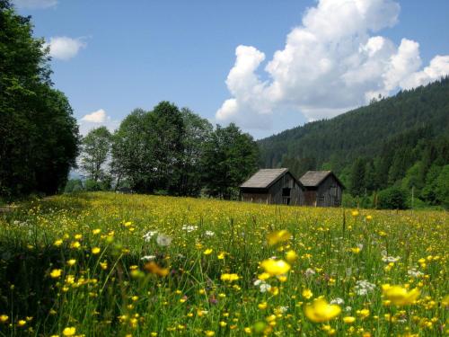 Fotografie z fotogalerie ubytování Hotel Garni Sonnhof ve Flachau