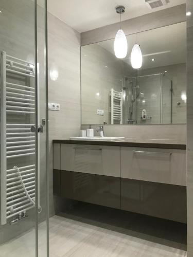 a bathroom with a sink and a mirror at apartmán Poděbradka in Pilsen