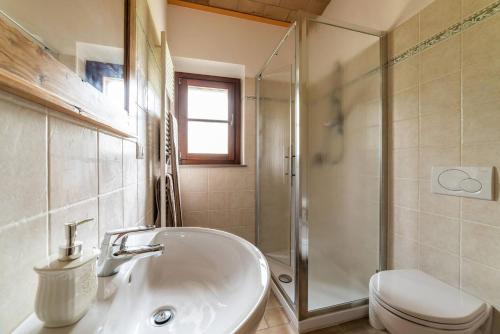 ein Bad mit einem Waschbecken, einem WC und einer Dusche in der Unterkunft Appartamento nella Campagna di Certaldo Il Ciliegio in Certaldo