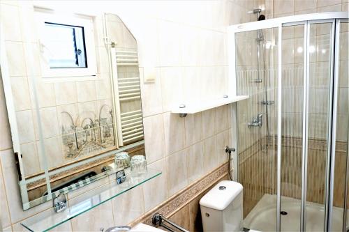 A bathroom at Apartment and Rooms Milak