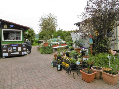 a garden with a bunch of potted plants and flowers at Ruegen_Fewo 58_1 in Neuendorf