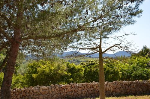 a stone wall next to trees and bushes at Finca Son Blat in Porto Cristo