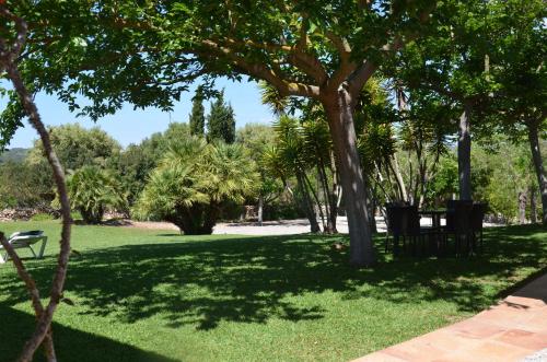 a park with green grass and trees and a bench at Finca Son Blat in Porto Cristo