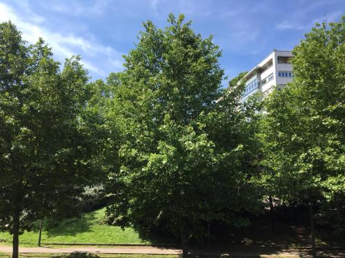 a group of trees in front of a building at APARTHOTEL CASA MIA in Milan