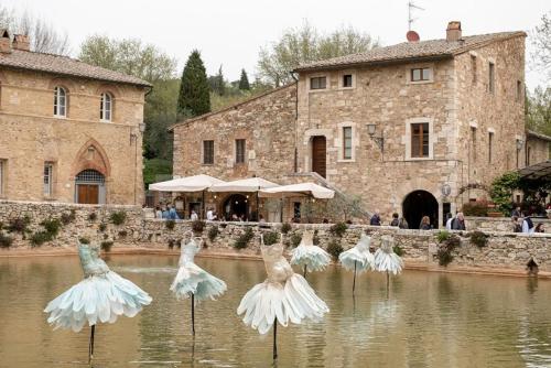 a group of birds standing in the water at Locanda Il Porcellum in Bagno Vignoni