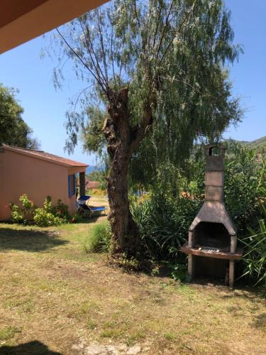 a outdoor oven next to a tree in a yard at Résidence Itylon in Cargèse