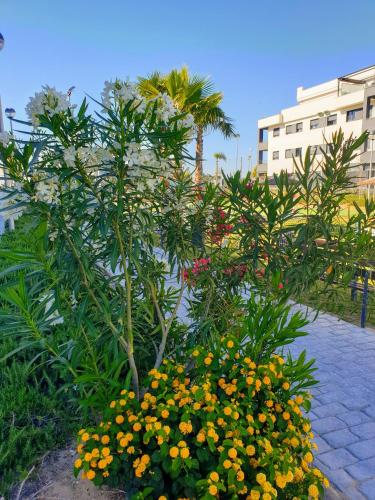 a bunch of flowers in front of a palm tree at Residencial Costa Doñana (Sanlucar de Barrameda) in Sanlúcar de Barrameda