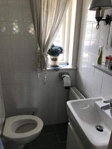 Friesenhof Süderende photo 8