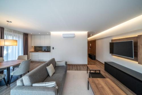 a living room with a couch and a tv at Meta Apartments in Szczyrk