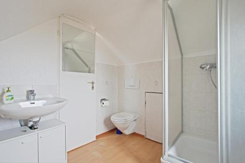 La salle de bains est pourvue de toilettes, d'un lavabo et d'une douche. dans l'établissement Private Apartment, à Hanovre