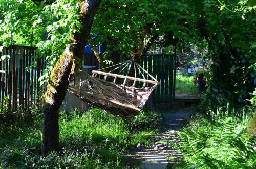 a hammock hanging from a tree in a garden at Robinson Crusoe in Lagodekhi