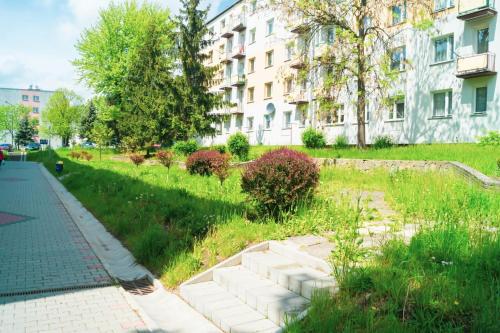 a grassy area with a building in the background at Alma Apartments Starachowice in Starachowice