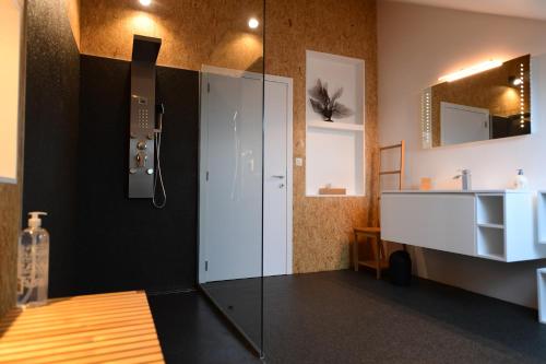 a bathroom with a shower and a sink and a mirror at Le 42 in Durbuy