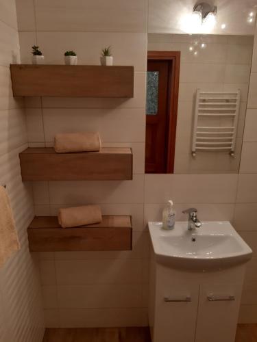a bathroom with a sink and a mirror at Domki Beskid in Rzyki