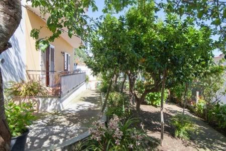 Zahrada ubytování B&B Miccio