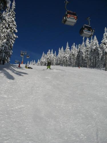 Apartmán Zlatá Vyhlídka en invierno