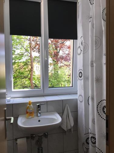 baño con lavabo y 2 ventanas en 1,5 Zimmer Appartement, en Winterthur