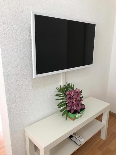 a tv on a white table with a plant on it at 1,5 Zimmer Appartement in Winterthur