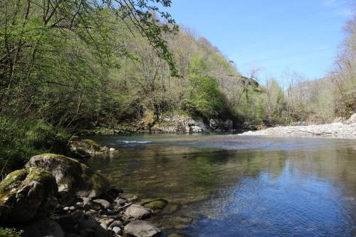 a river with rocks and trees on the side at Monyoya ,site exceptionnel au coeur des Pyrénées in Sarrance