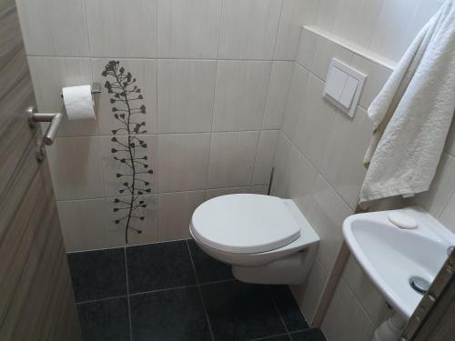 a bathroom with a toilet and a sink at Apartments Akacijev Izvir in Miklavž na Dravskem Polju