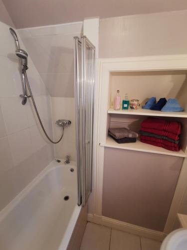 a bathroom with a shower and a bath tub at Leithen Lodge in Innerleithen