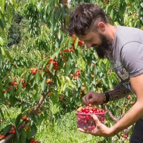 a man holding a basket of strawberries in a garden at B&b SAN LORENZO in Conversano