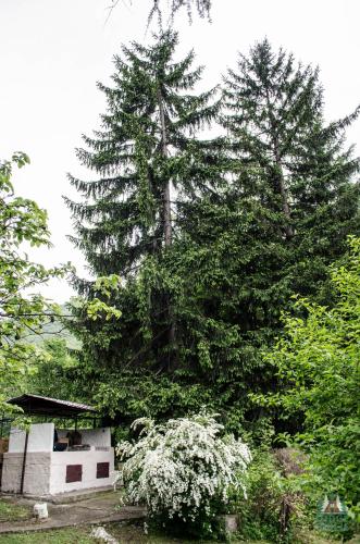 Κήπος έξω από το Lodge Zbilje Visoko, Bosnian Pyramids