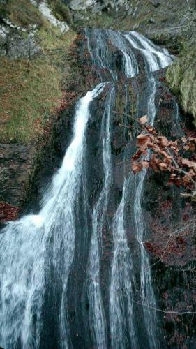 a waterfall on the side of a mountain with leaves on it at La Casita de la cruz in Langreo