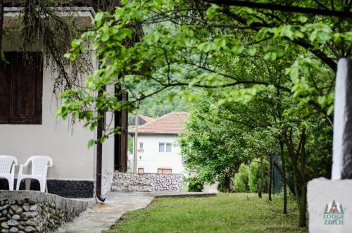 Κήπος έξω από το Lodge Zbilje Visoko, Bosnian Pyramids