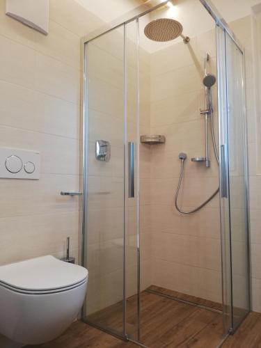 a bathroom with a shower with a toilet at Gisshübelhof in Andrian