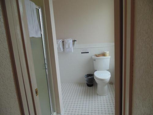 Un baño de Manresa Castle