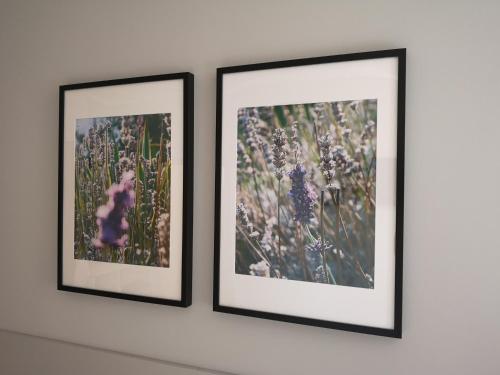 three framed photographs on a white wall at Glam House Apartments in Poznań