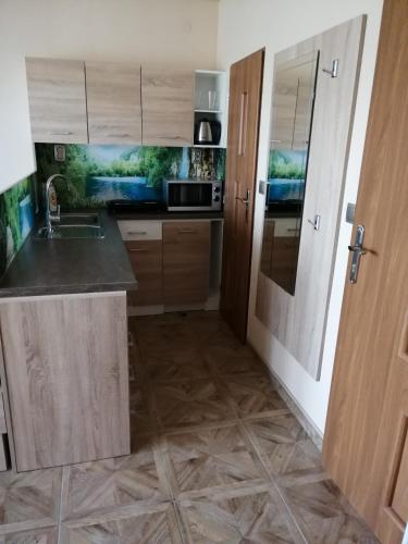 a kitchen with a sink and a counter top at Ubytovani PASO na Palave in Pasohlávky