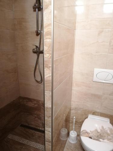a bathroom with a toilet and a glass shower at Ubytovani PASO na Palave in Pasohlávky