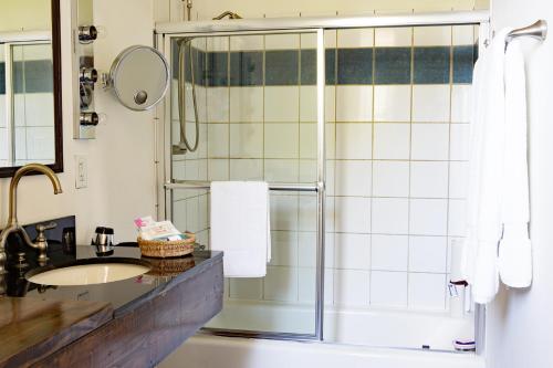 a bathroom with a shower and a sink at Wedmore Place in Williamsburg