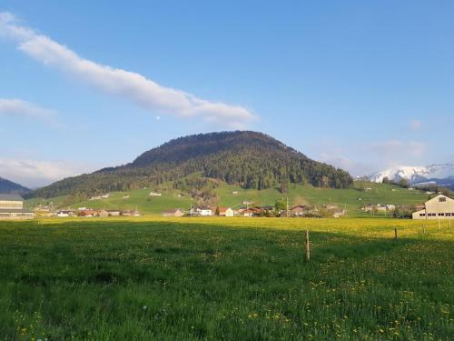 a green field with a mountain in the background at Ferienwohnung Gmeiner in Hittisau