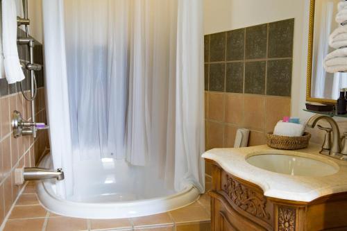 a bathroom with a tub and a sink and a shower at Wedmore Place in Williamsburg