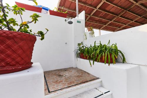 two potted plants sitting on a white wall at Hotel Suites Ixtapa Plaza in Ixtapa