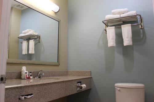 bagno con lavandino, specchio e asciugamani di Horizon Inn & Suites a Pearsall