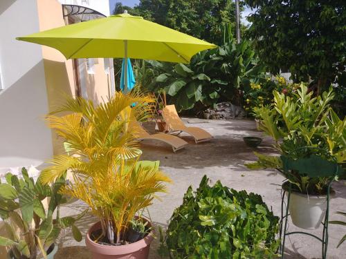 a patio with a green umbrella and some plants at villa siber in Port-Louis