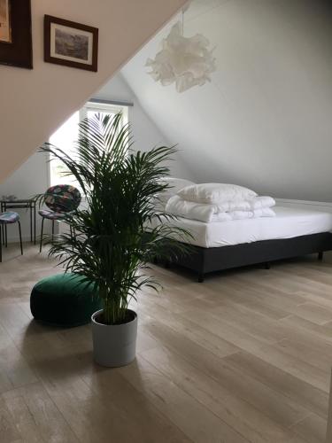 a bedroom with a bed and a potted plant at Kamers van Goud in Katwijk aan Zee
