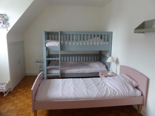 ein Schlafzimmer mit einem Etagenbett mit einer Leiter in der Unterkunft Ti Moutik in Brignogan-Plage